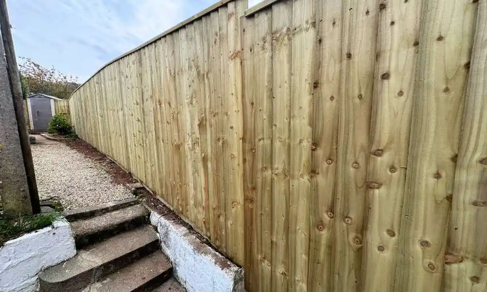 Fence Inspections Plymouth - Fencing and Garden - Jackson Landscaping Ltd