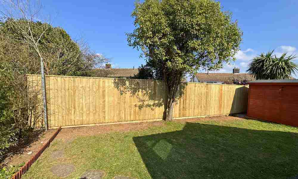 Fencing Repairs Plymouth - New Fence - Jackson Landscaping Ltd