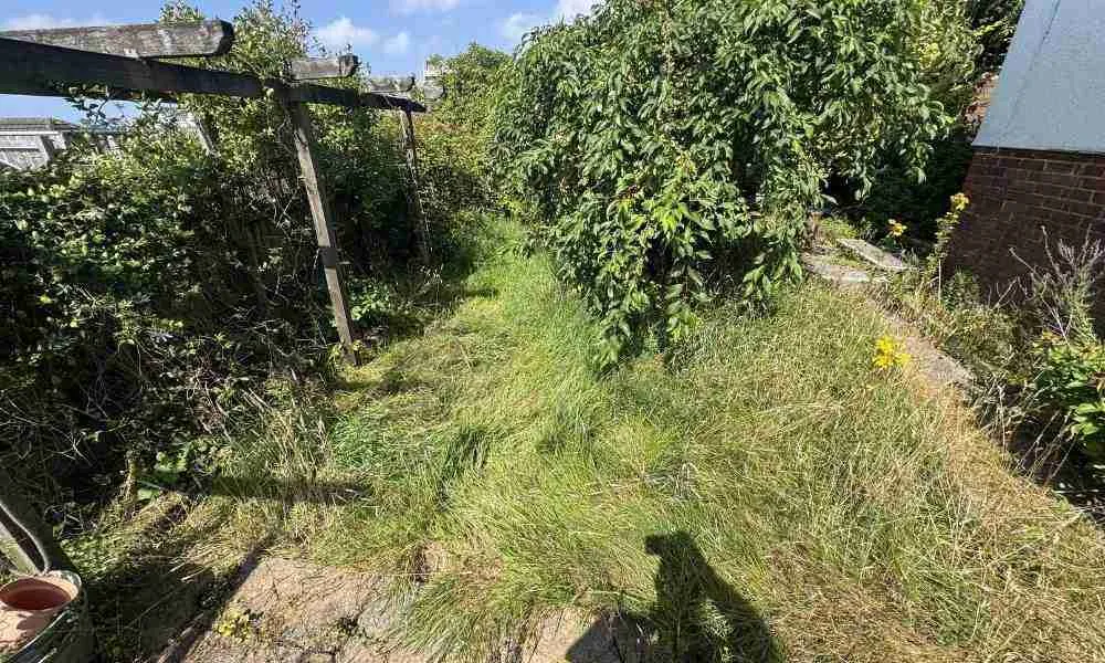 Garden Clearance Plymouth - Survey Job - Jackson Landscaping Ltd