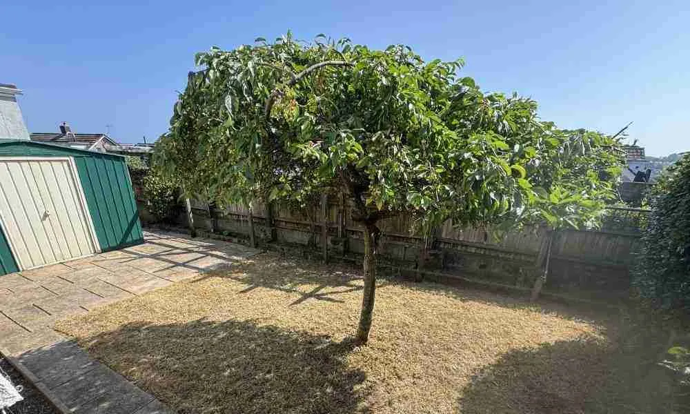 Garden Clearance Plymouth - The Aftercare - Jackson Landscaping Ltd
