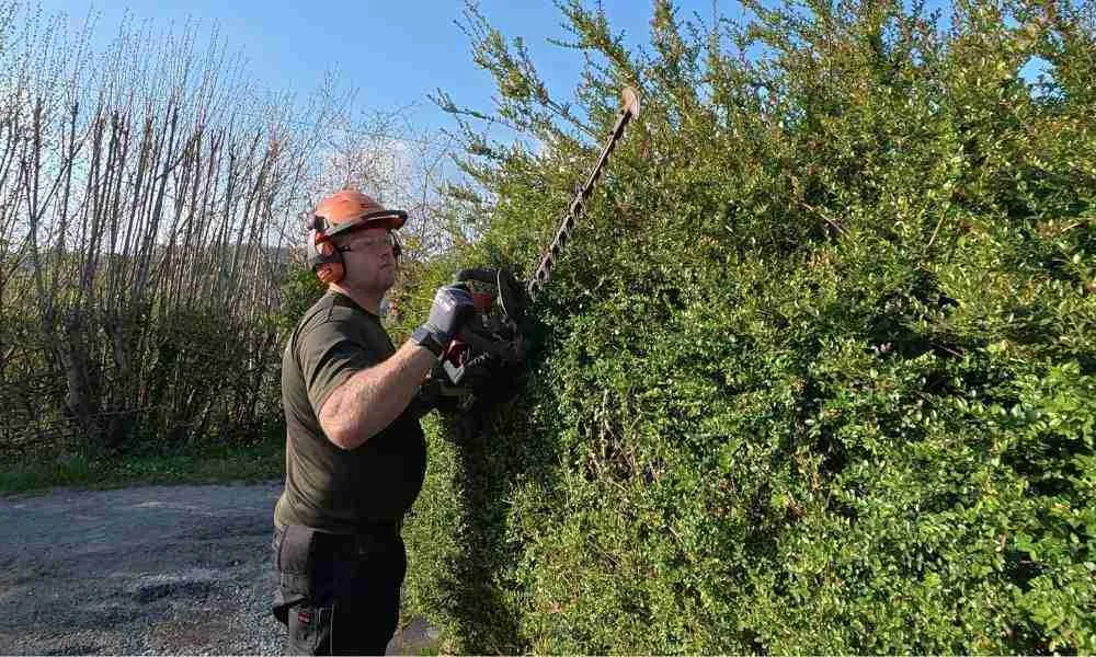 Garden Maintenance Plymouth - Saw - Jackson Landscaping Ltd