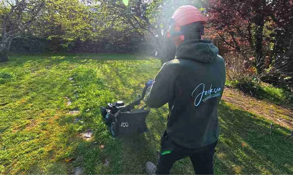 Garden Maintenance Plymouth - Taylor - Jackson Landscaping Ltd