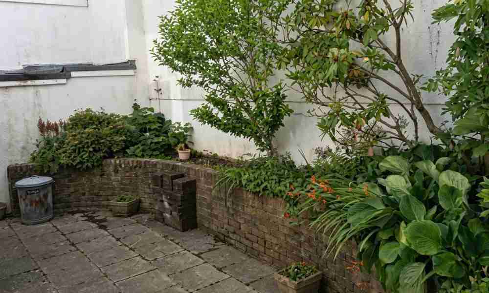 Garden Services Plymouth - Back Garden Wall - Jackson Landscaping Ltd