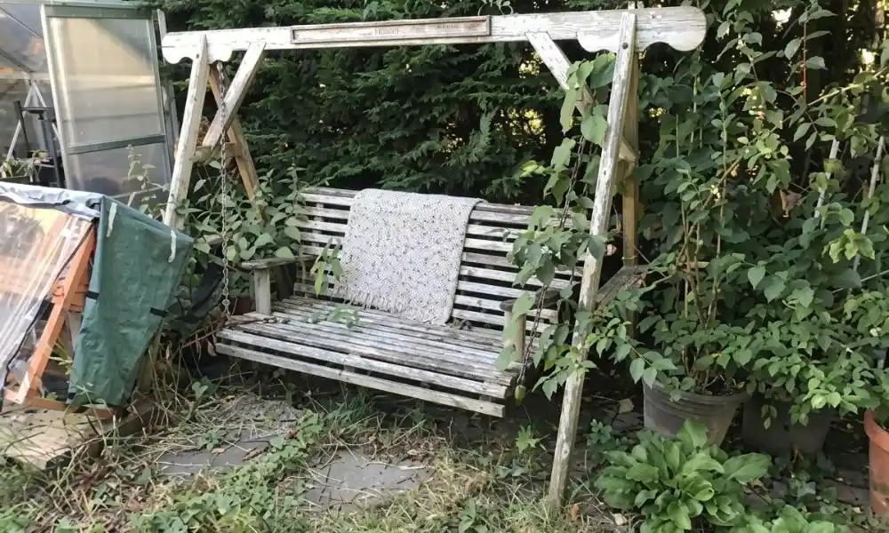 Gardening Plymouth - Overgrown Bench - Jackson Landscaping Ltd