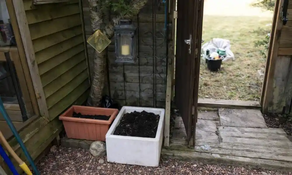Gardening Plymouth - Planter - Jackson Landscaping Ltd