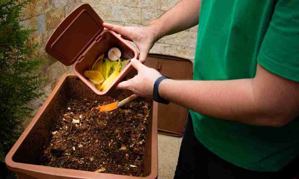 Gardening with Children Plymouth - Compost Bin - Jackson Landscaping Ltd