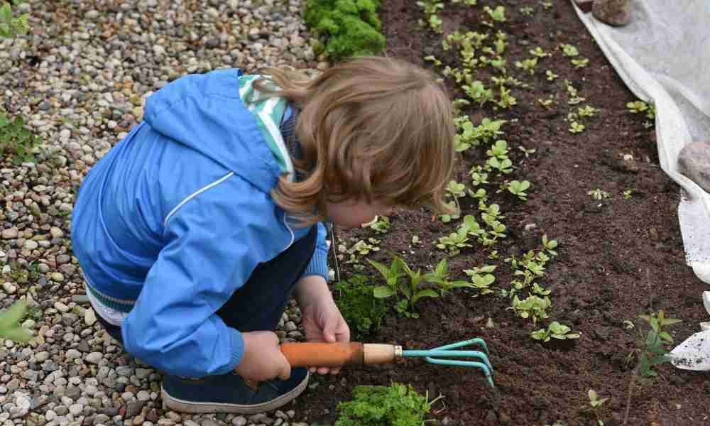 Gardening with Children Plymouth - Kid with Soil - Jackson Landscaping Ltd