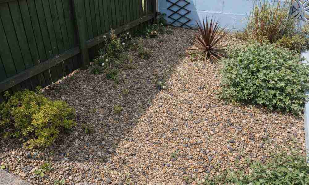 Landlord Garden Maintenance Plymouth - Back Garden - Jackson Landscaping Ltd