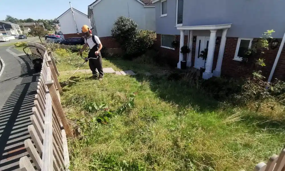 Landscaping Pricing - Garden Clearance Project - Jackson Landscaping Ltd