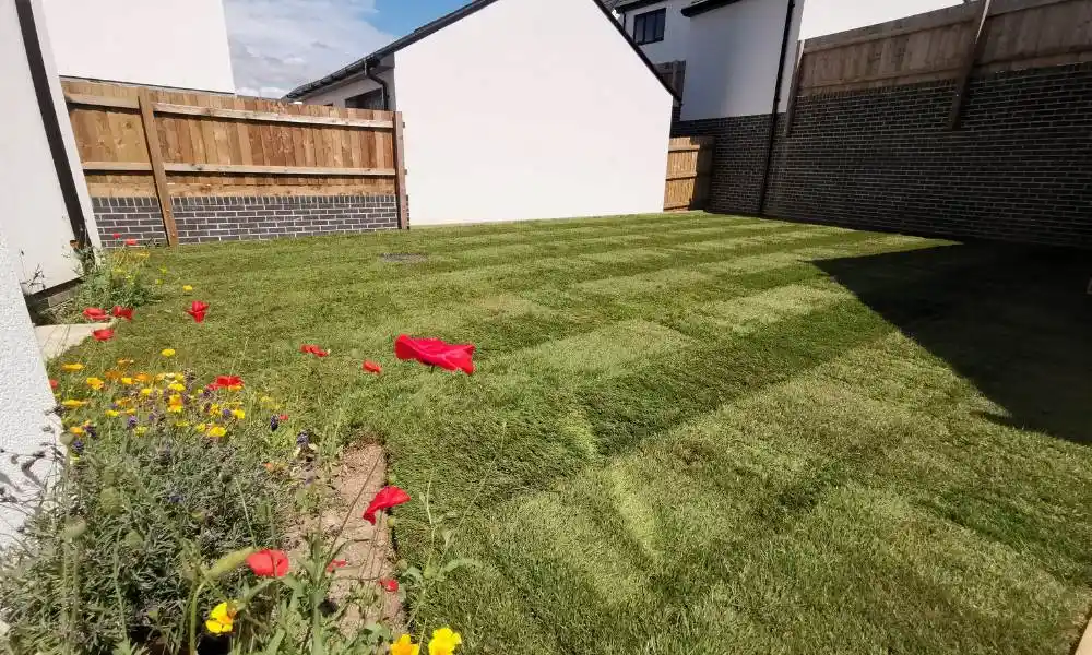 Landscaping Pricing - New Turf and Flowers in Garden- Jackson Landscaping Ltd