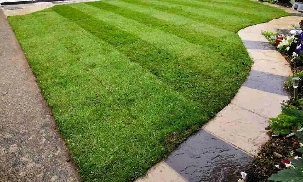 Lawn Care Plymouth - The Aftercare - Jackson Landscaping Ltd