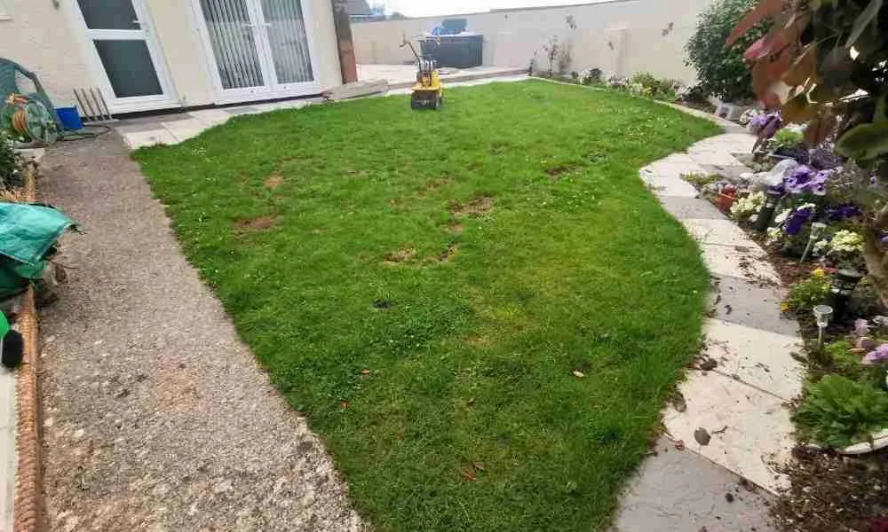 Lawn Care Plymouth - The Treatment - Jackson Landscaping Ltd